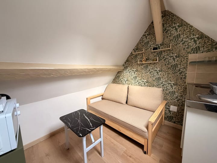 Petit Nid Douillet Idéal En Plein Centre - Saint-Étienne-du-Rouvray