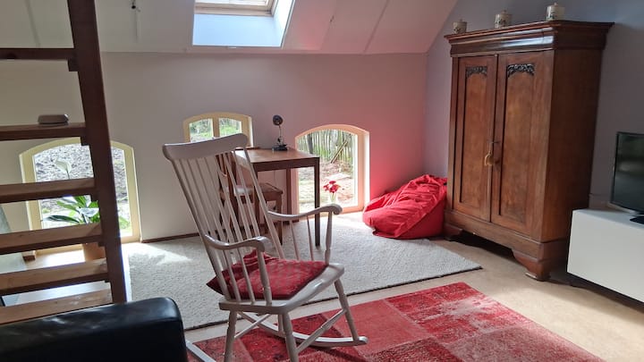 De Deel - Appartement In Sallandse Boerderij - Raalte