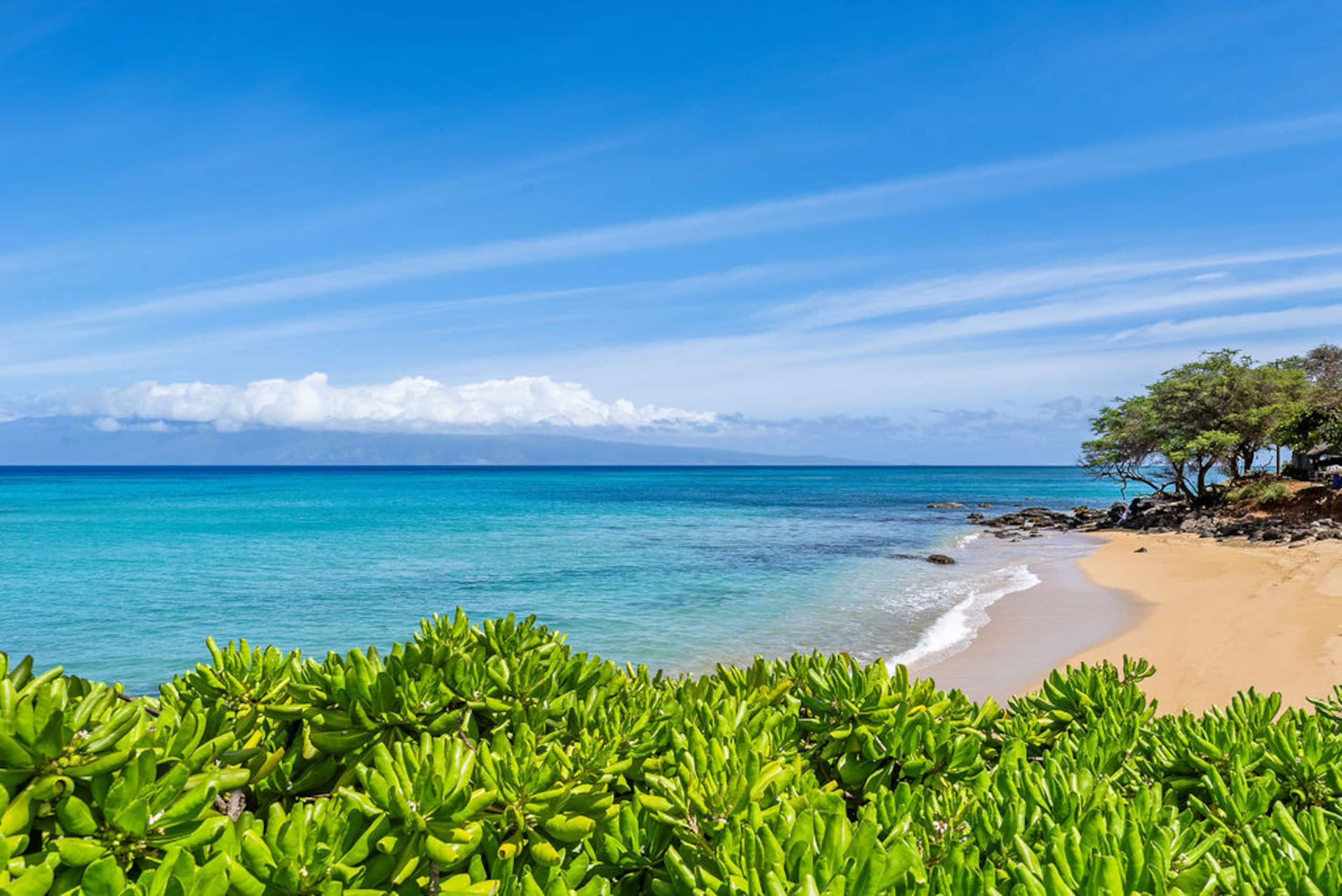Be the first to enjoy Noelani 206 - Image 39