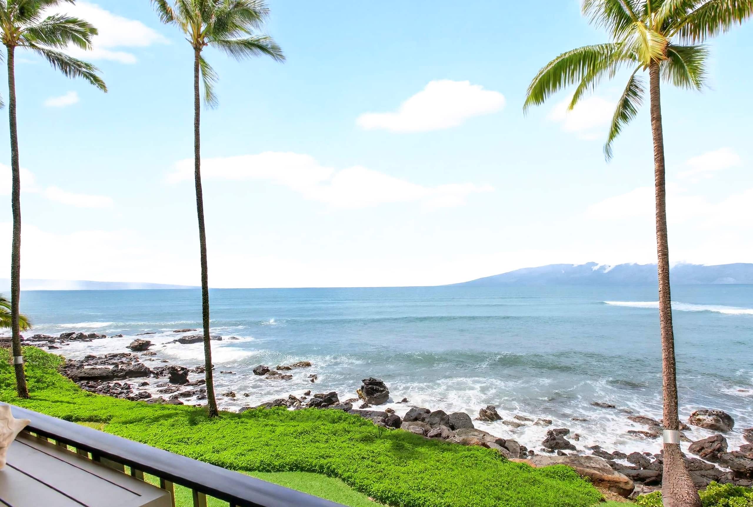Be the first to enjoy Noelani 206 - Image 18