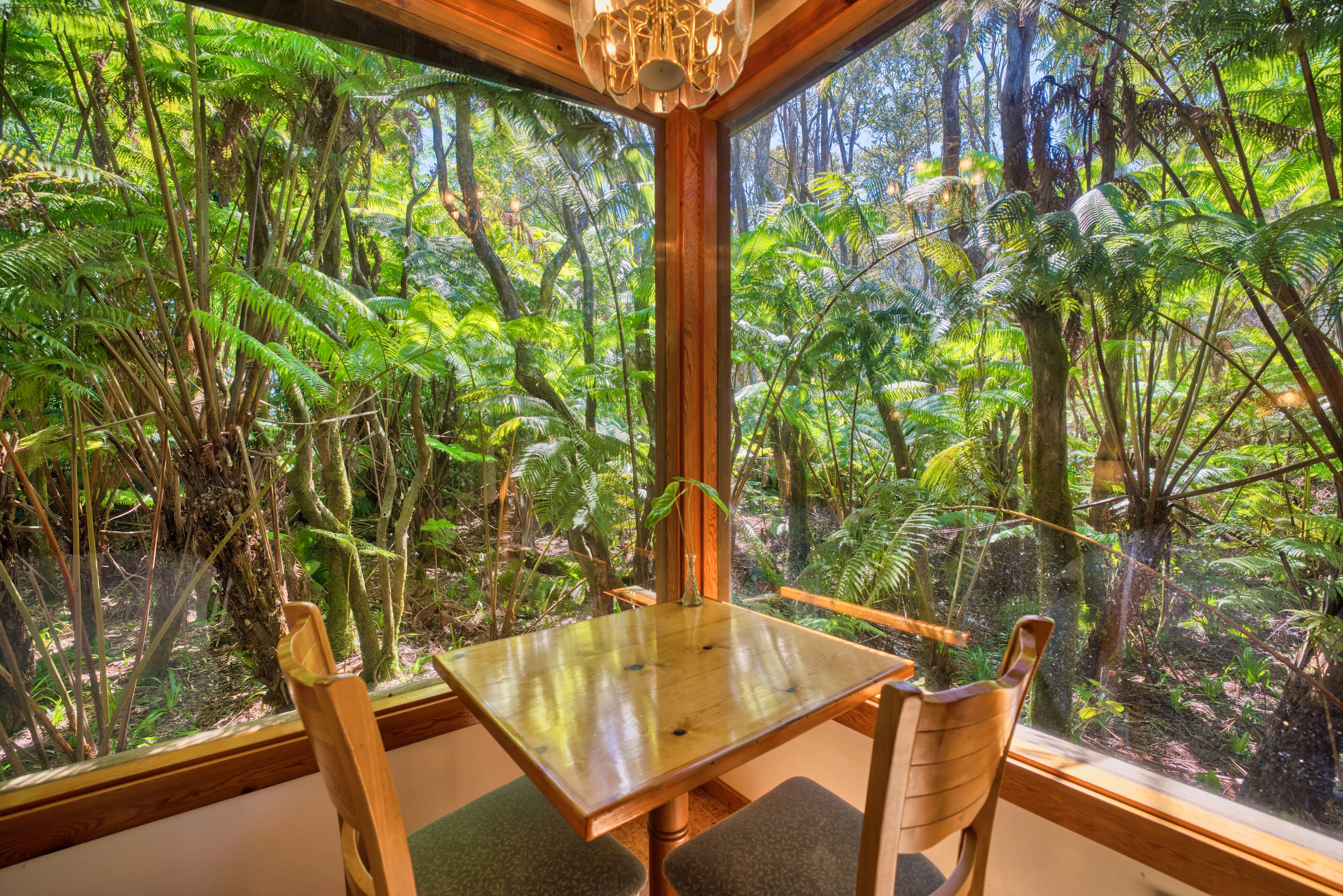 Home in Volcano · ★5.0 · Studio · 1 bed · 1 private bath - Image 1