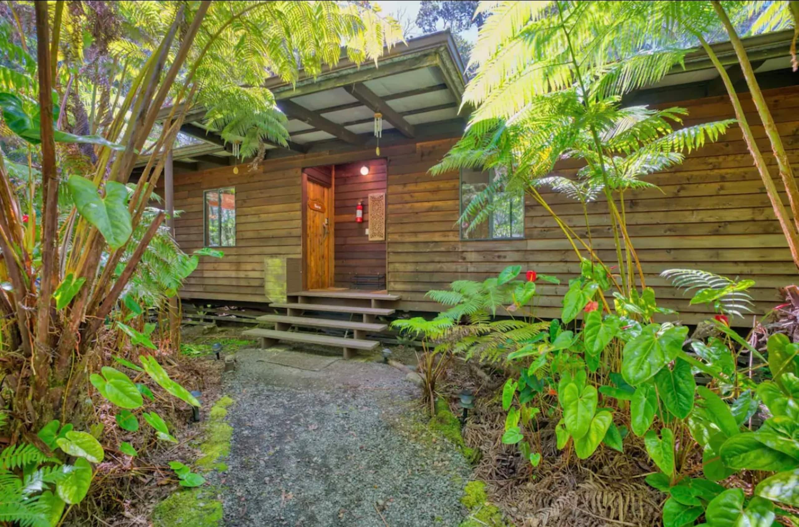 Home in Volcano · ★5.0 · Studio · 1 bed · 1 private bath - Image 5