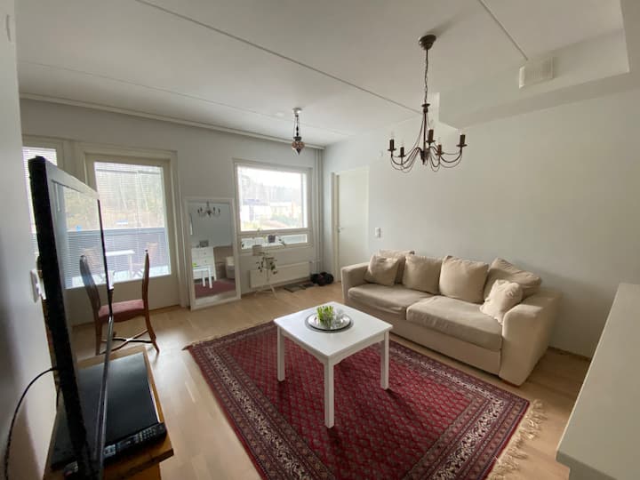 Siisti Kolmio Kätevien Kulkuyhteyksien Varrella. - Espoo