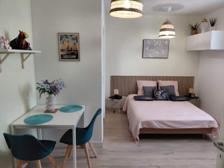 Mignon Petit Studio Centre-ville - Carcassonne