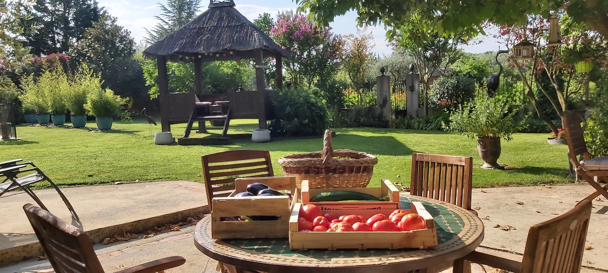 Renoviertes provenzalisches Bauernhaus zwischen Olivenbäumen und ...