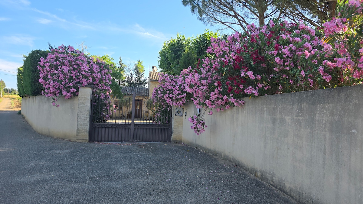 Renoviertes provenzalisches Bauernhaus zwischen Olivenbäumen und ...