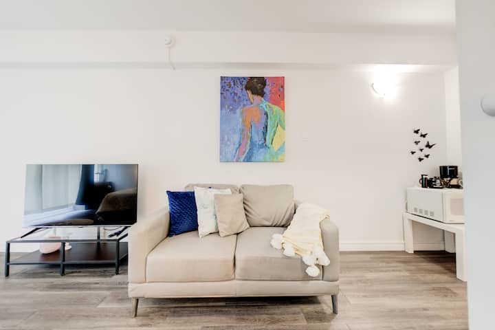 Lovely Studio Downtown - Montreal