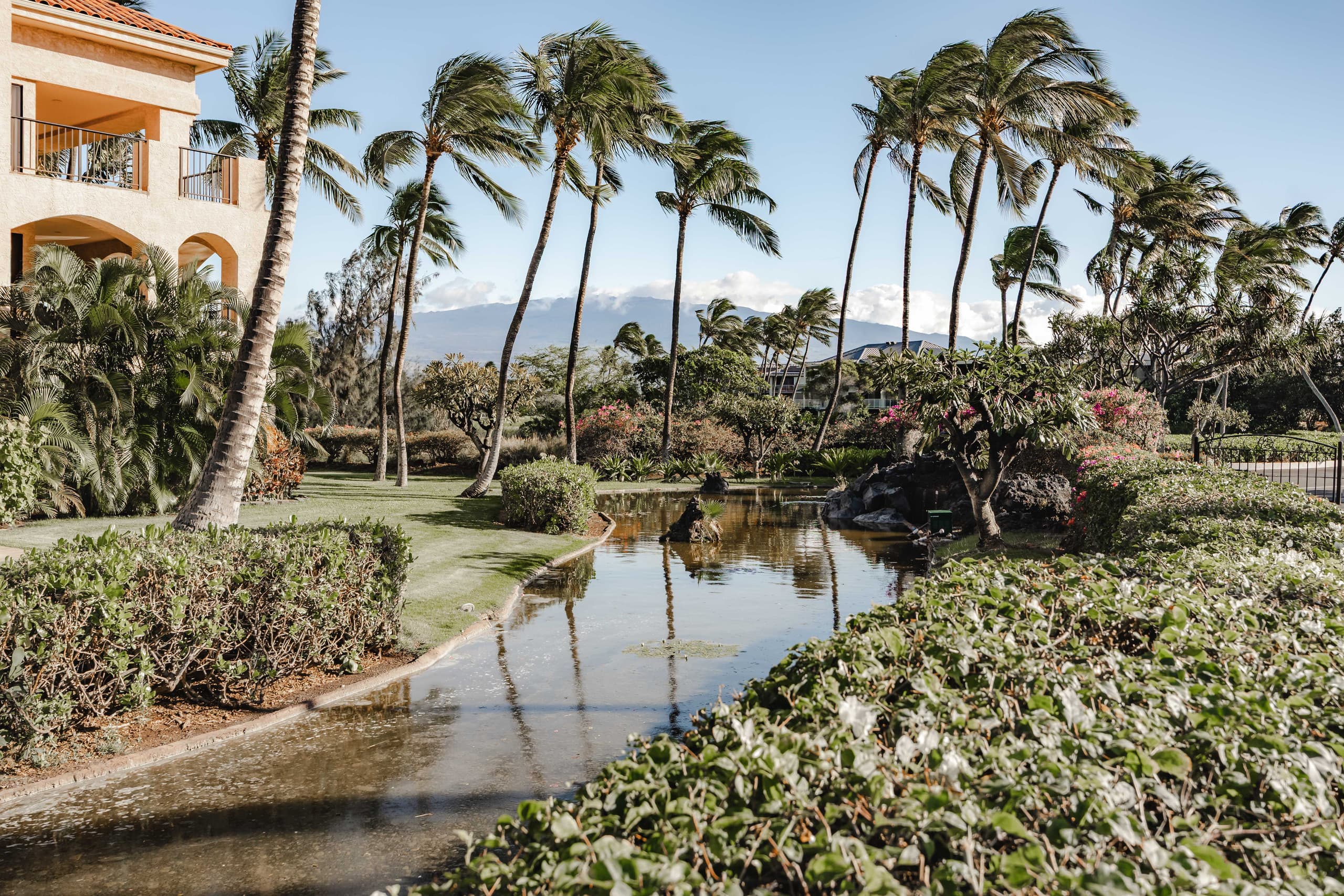 Condo in Waikoloa Village · ★5.0 · 2 bedrooms · 4 beds · 2 baths - Photo 135