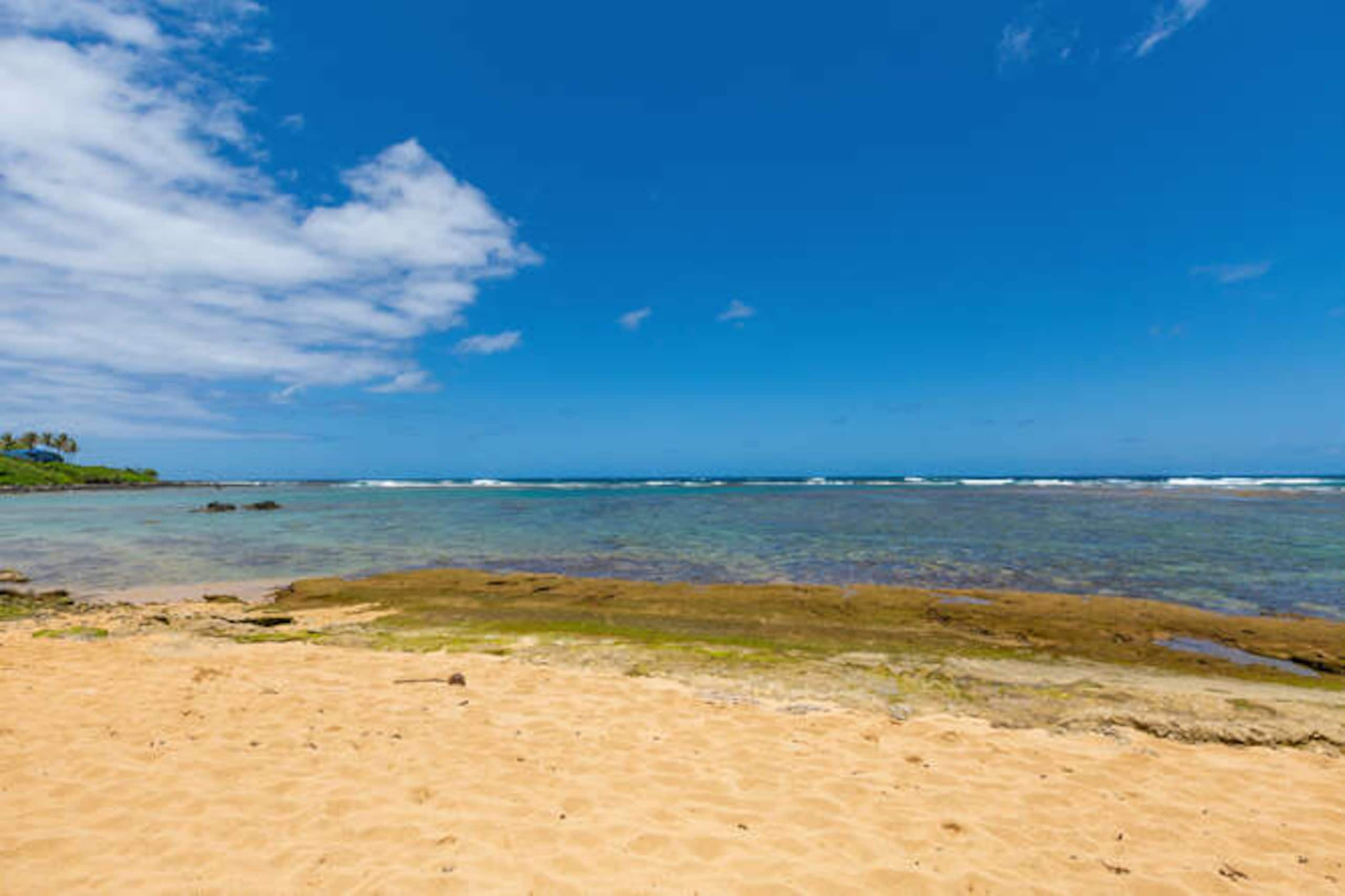 Home in Anahola · ★5.0 · 1 bedroom · 2 beds · 1 bath - Photo 42