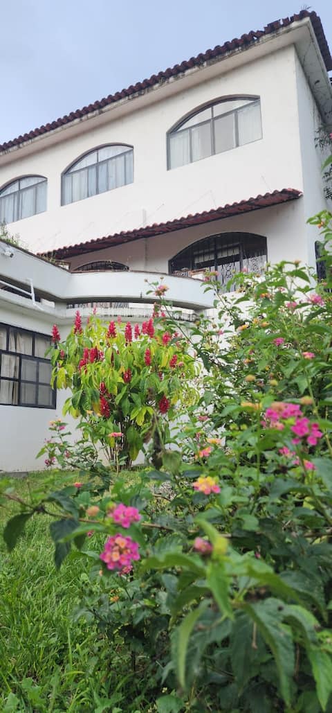 Golden Terrace studio