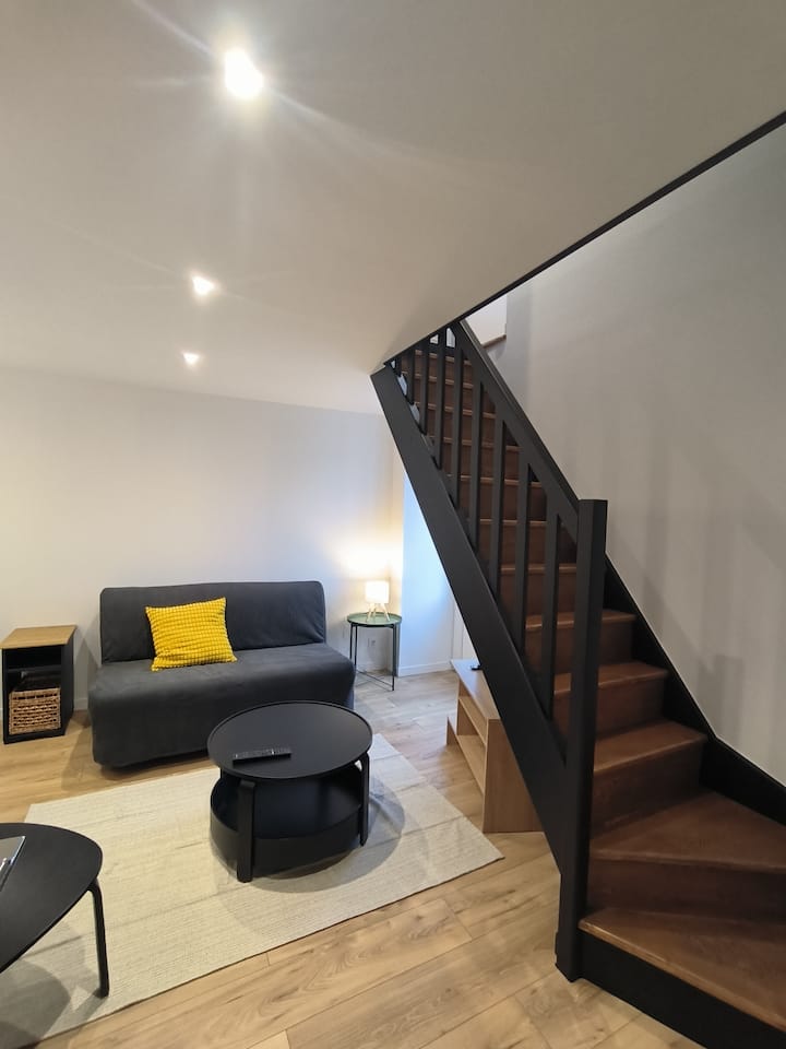 Appartement T1 Duplex 4 Couchages - Baztan