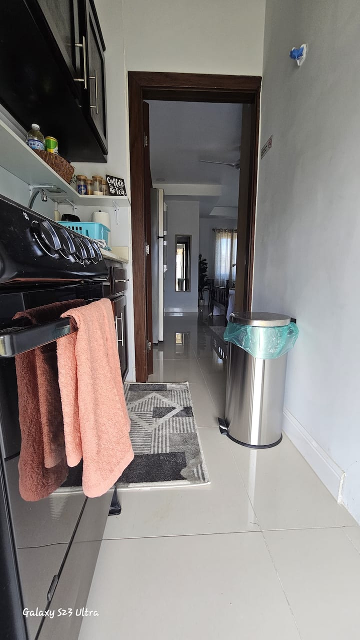 Modern 1br Oasis: Pool & Gym - Jamaica