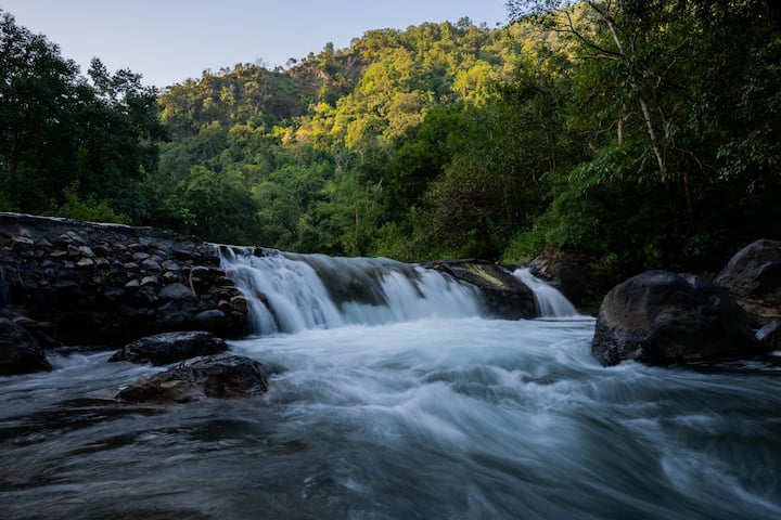 Best Homestay In Budget. Surrounded With Nature - Jim Corbett National Park