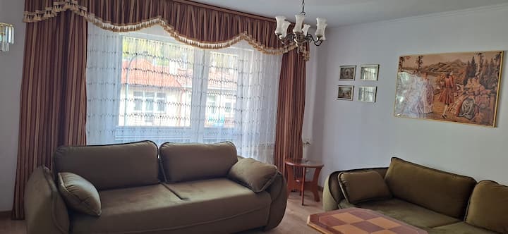 Apartament Zdrojowy Przy Deptaku Prywatny Parking - Krynica-Zdrój