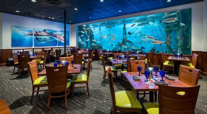 St. Pete Beach Stay + Dining & Water Activities - St. Petersburg, FL