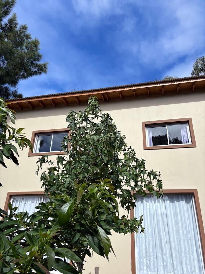 Departamento Pinamar - Pinamar