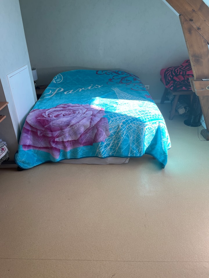 Appartement Bien éQuipé 
Propre - Laval