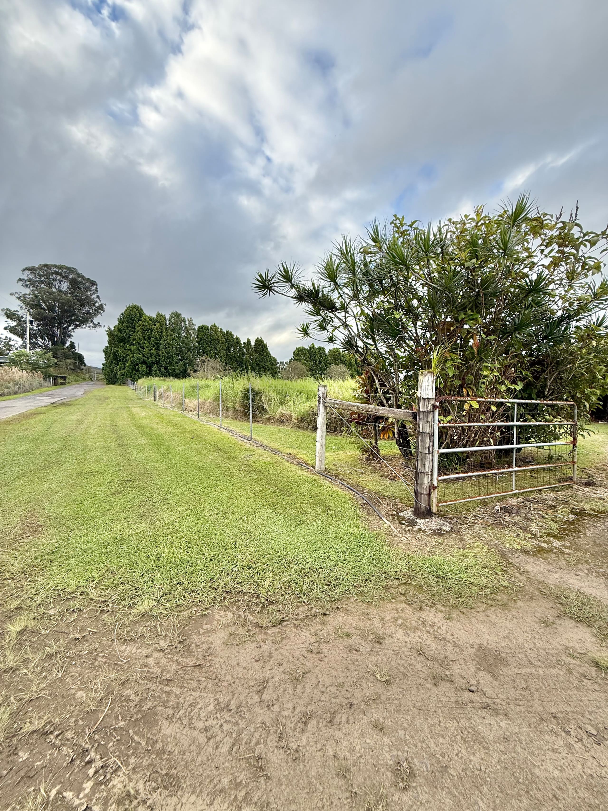 Home in Hilo · ★5.0 · Studio · 1 bed · 1 private bath - Image 8