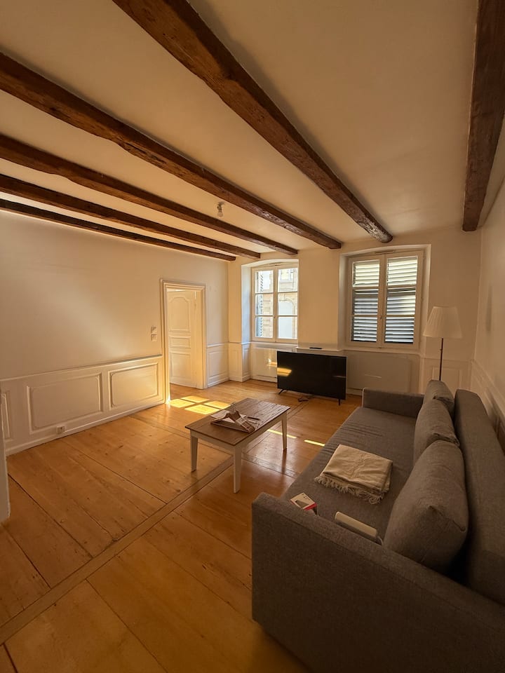 Charmant Appartement Au Cœur De Ville - Estrasburgo