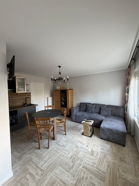 Propriété Airbnb réussie: T2 - 100 m from the Palais des Festivals à Évian Les Bains