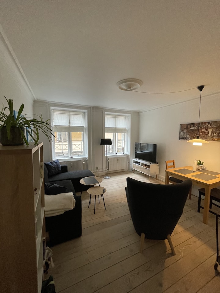 Lejlighed På Vesterbro. Rolig Base Tæt På Byen - Copenhagen Central Station