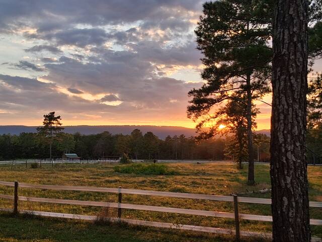 Guest favorite listing in Chattanooga