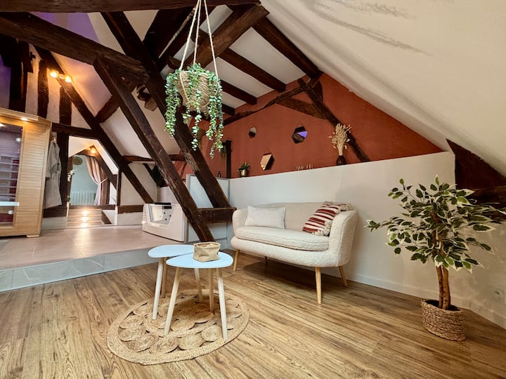 Suite Spa | Sauna Privé & Cinéma-quais De L’yonne - Auxerre