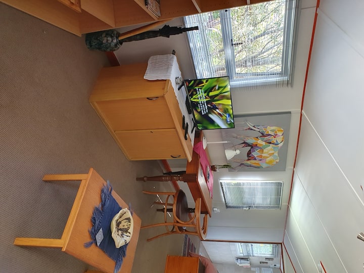 טלוויזיה עם ערוצים בסיסיים