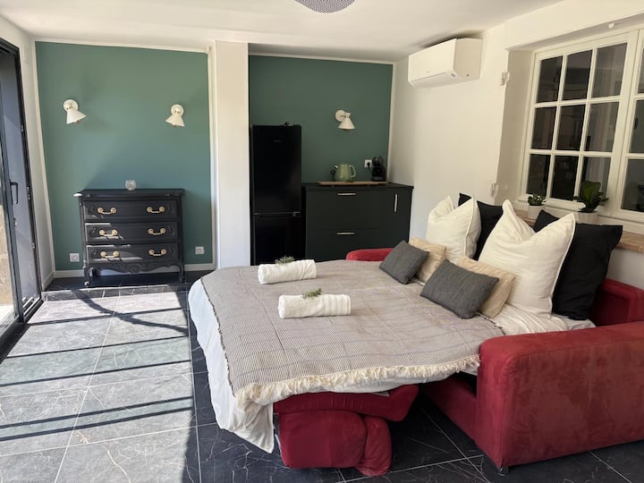 Beautiful Property Biot - Ac, Private Pool, Garden - Biot