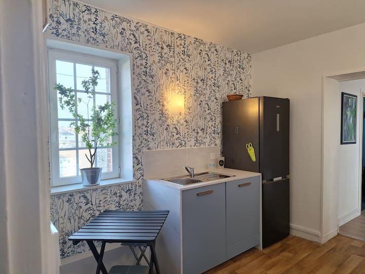 Grand Appartement Avec Vue Sur Mer Et Jardin - 格蘭佛