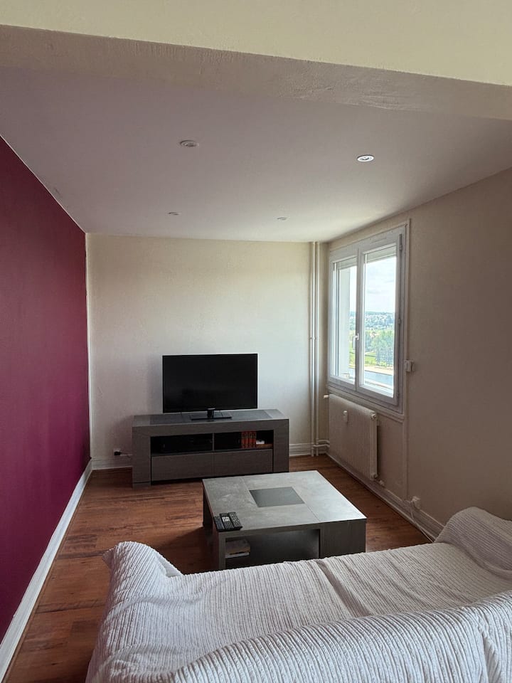 Appartement Avec Vue Sur Lac D’allier - Vichy
