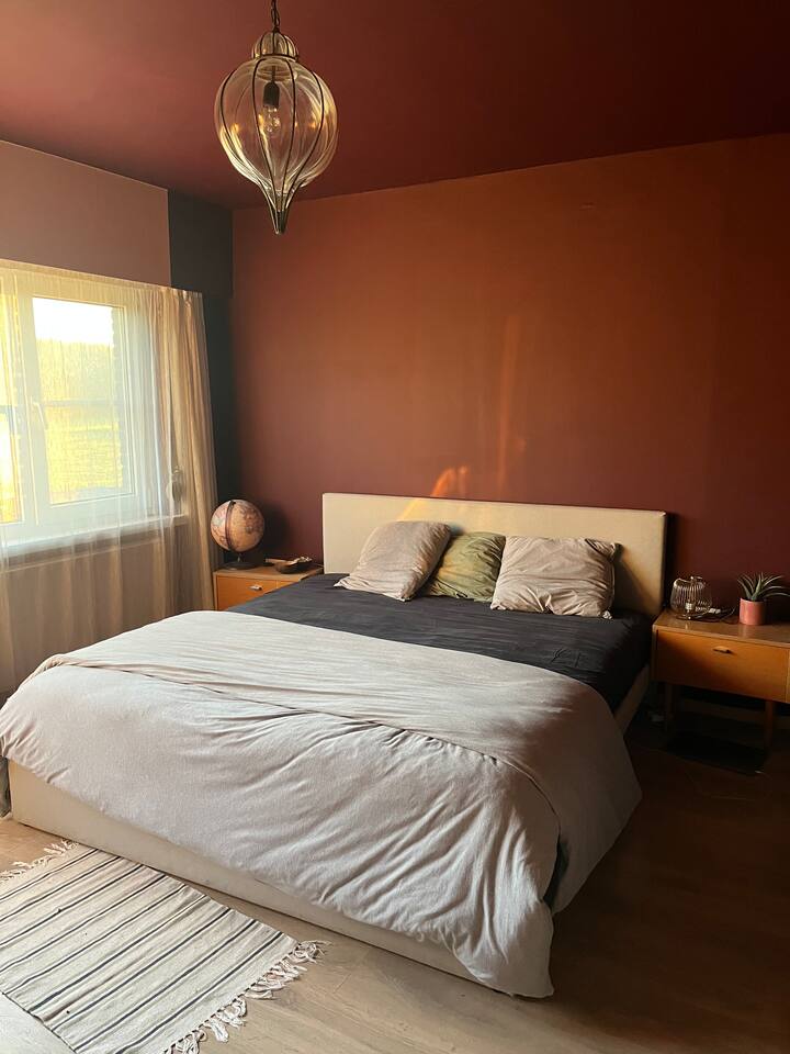 Ruime Kamer Te Huur - Boom