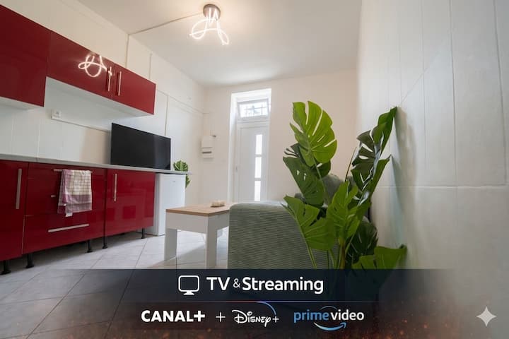 Nature Et Détente, Terrasse Canal Disney Netflix - Les Lilas