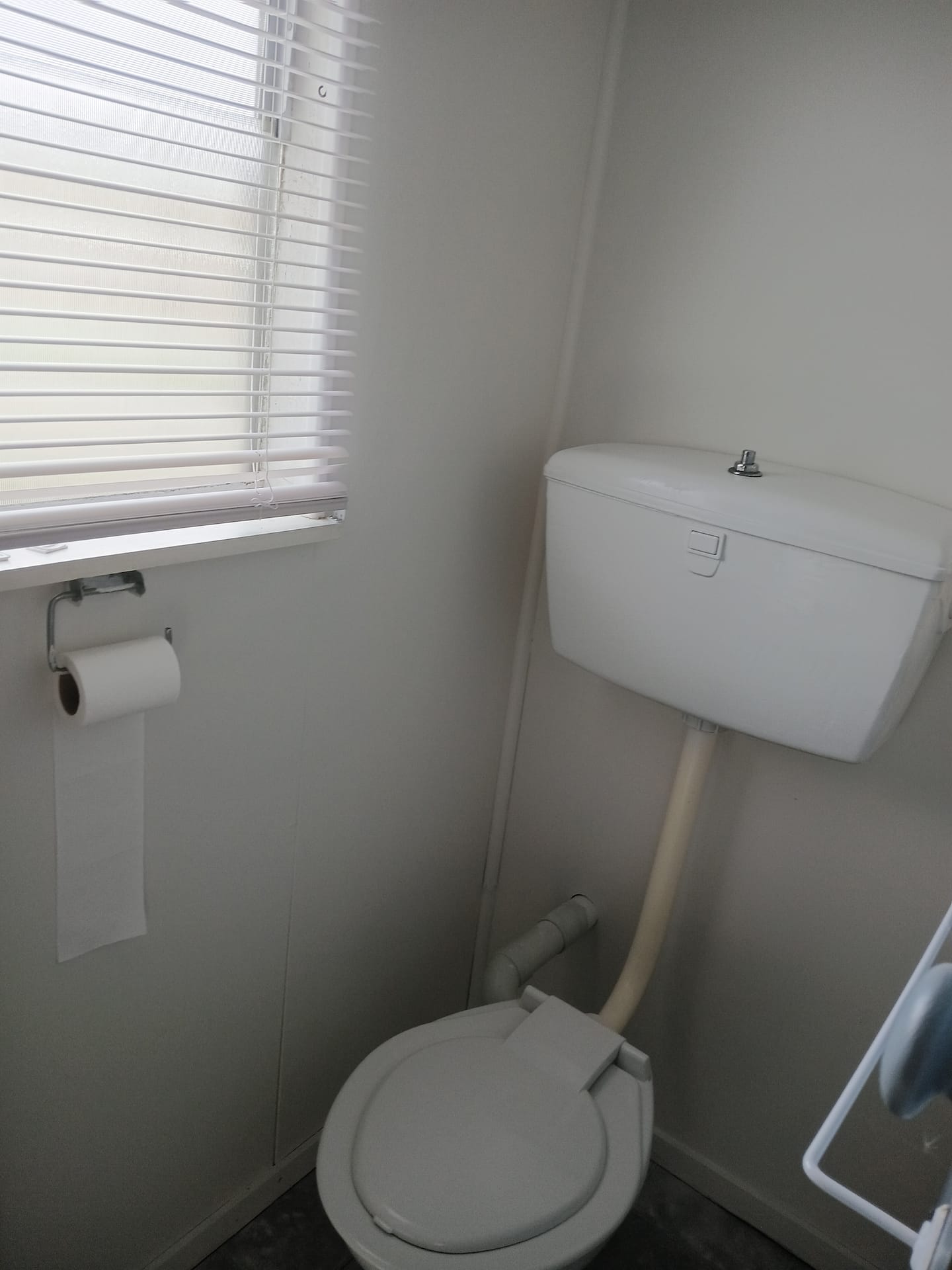 Kowhai Studio 4