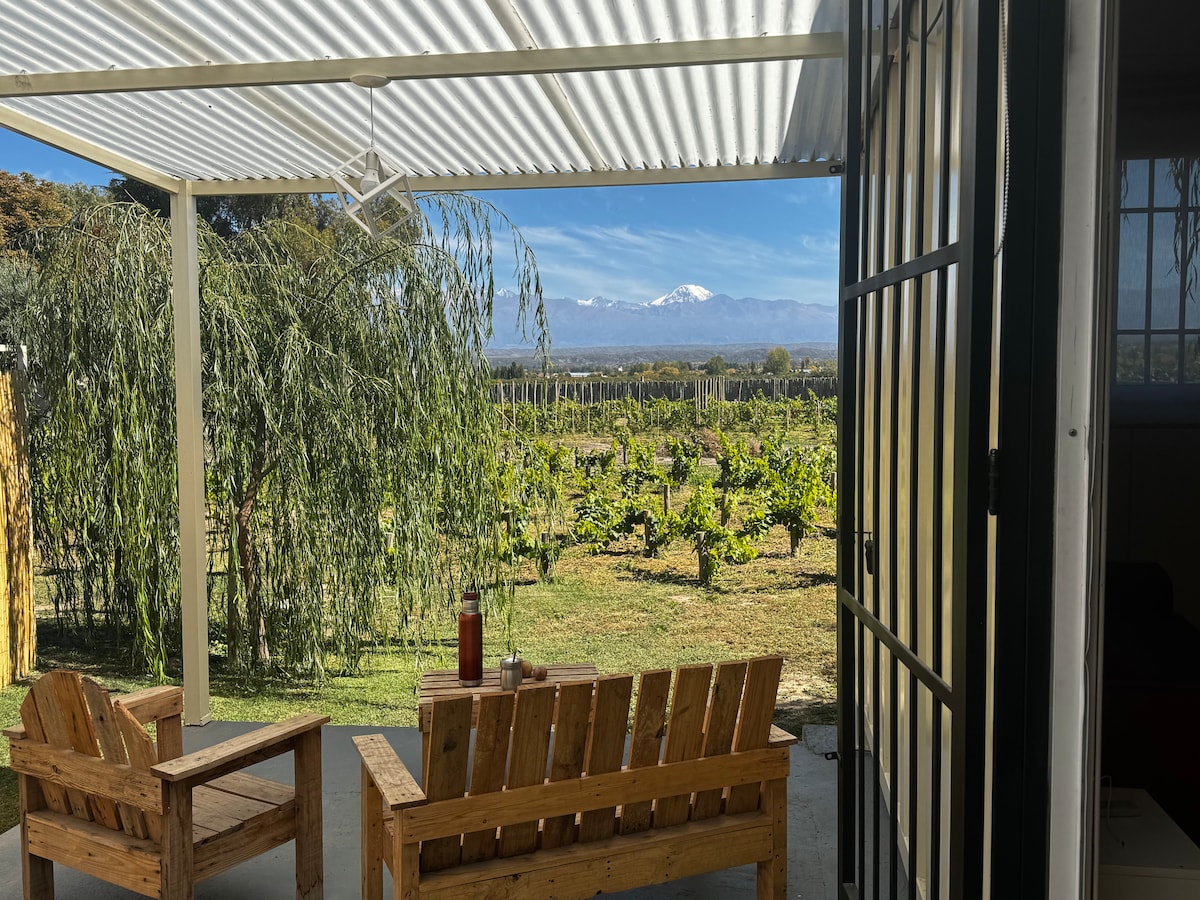 A shaded outdoor seating area features two wooden chairs overlooking a vineyard, with views of the Andes mountains in the background. The setting showcases greenery and a peaceful atmosphere, inviting relaxation while enjoying the natural surroundings.
