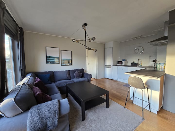 Modern 3br Flat | Free Parking | Close To City - Trondheim