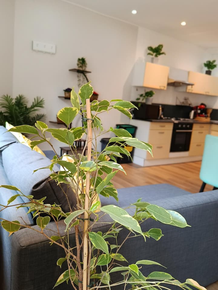 Appartement 2 - Aubigny-sur-Nère