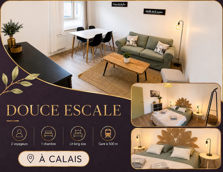 Douce Escale Appt 1 Chambre 500m De La Gare - カレー