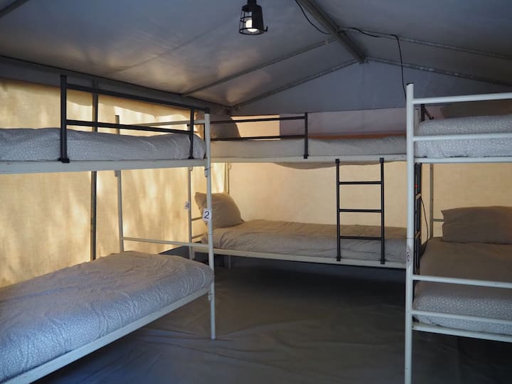 ÉéN Bed In Een Hostel Tent - Portoferraio