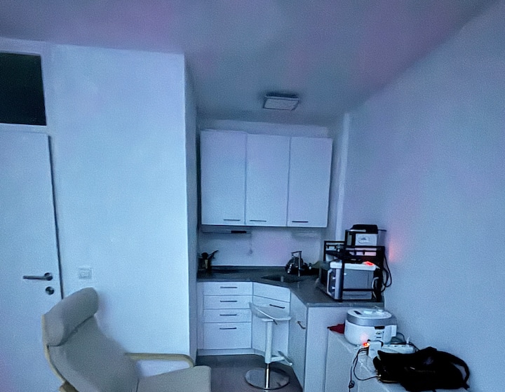 Grand Piano(silent Sys) Apartment - 잘츠부르크