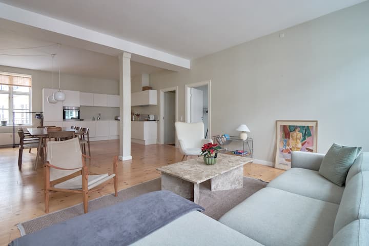 Luxury Apartment In The Heart Of Copenhagen - Copenaghen