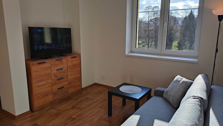 Bohemica Bellavista Apartment - Děčín