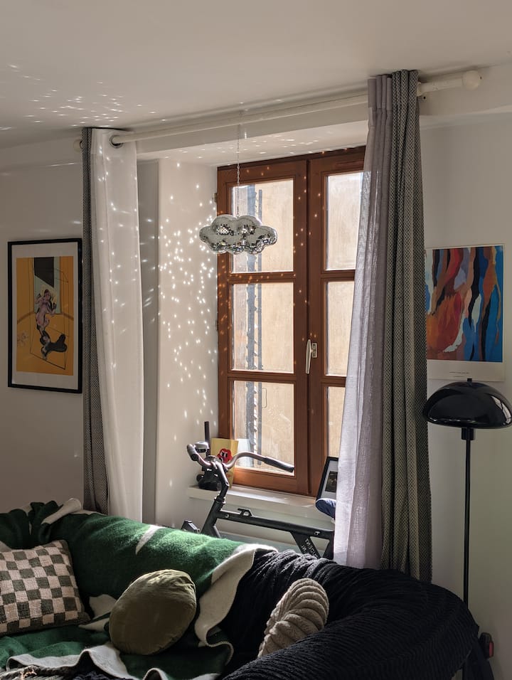 Authentique Et Central : Séjour Dans Une Traboule - Chambéry