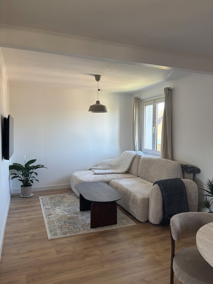 Très Bel Appartement Rénové Proche Du Centre Ville - Thonon-les-Bains