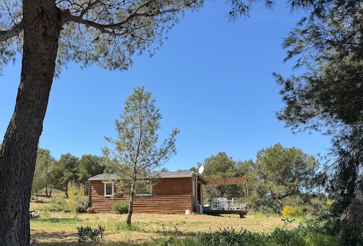 Séjour Nature En Provence-tiny House Avec Terrasse - Pélissanne
