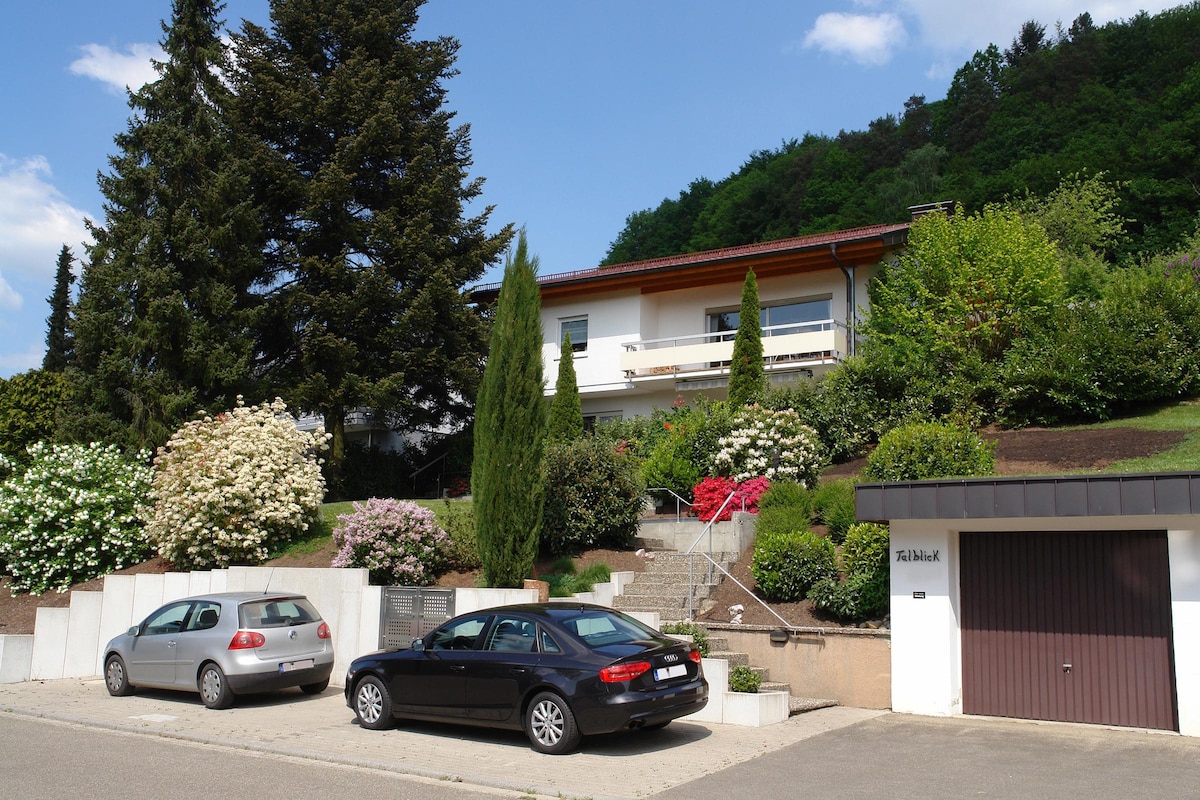 Talblickappartement - Apt 2 - Apartments for Rent in Seelbach, Baden ...