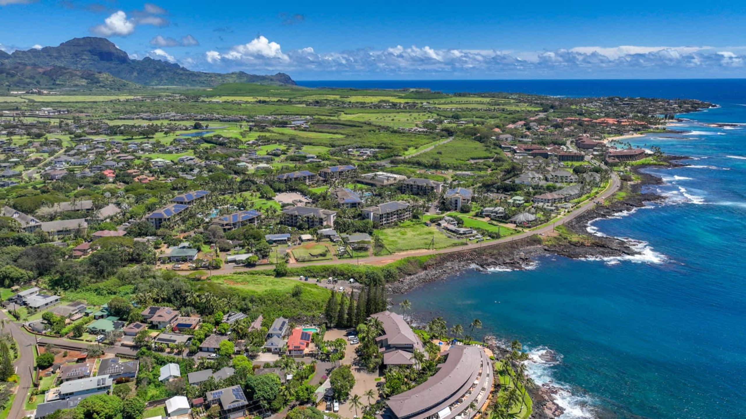 Condo in Koloa · ★4.8 · 1 bedroom · 3 beds · 1 private bath - Image 49