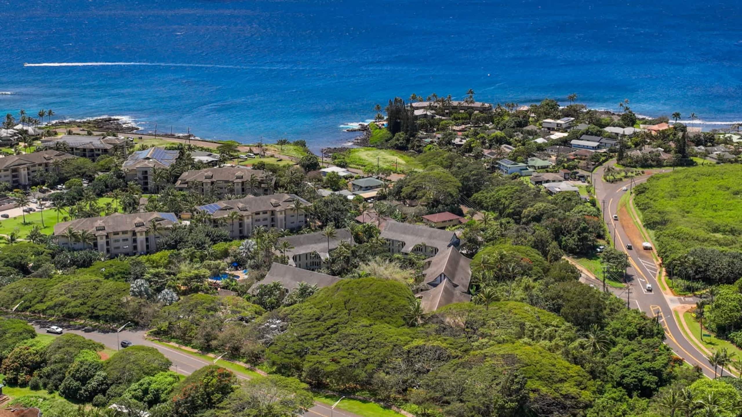 Condo in Koloa · ★4.8 · 1 bedroom · 3 beds · 1 private bath - Image 40