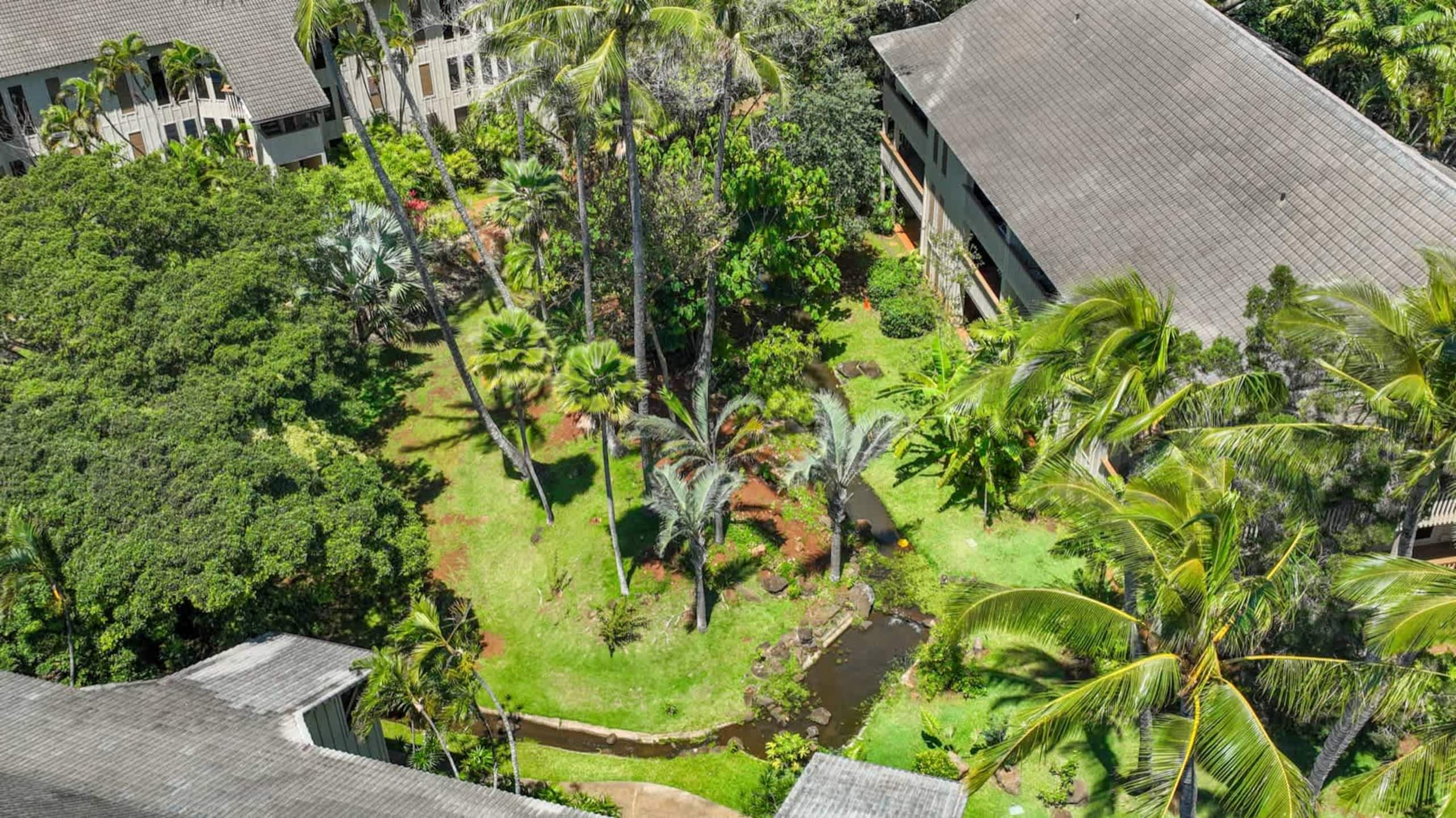 Condo in Koloa · ★4.8 · 1 bedroom · 3 beds · 1 private bath - Image 54