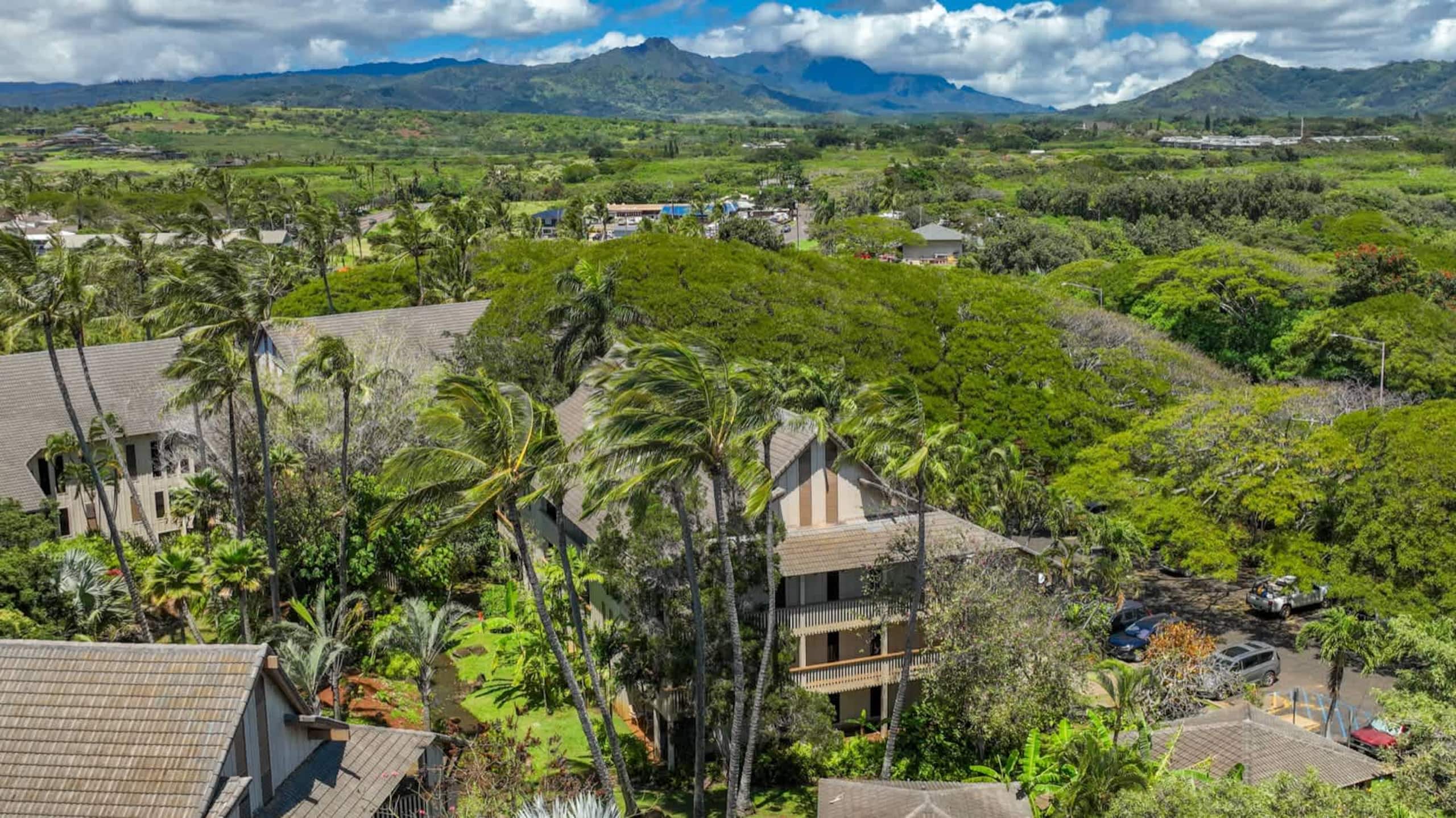 Condo in Koloa · ★4.8 · 1 bedroom · 3 beds · 1 private bath - Image 50